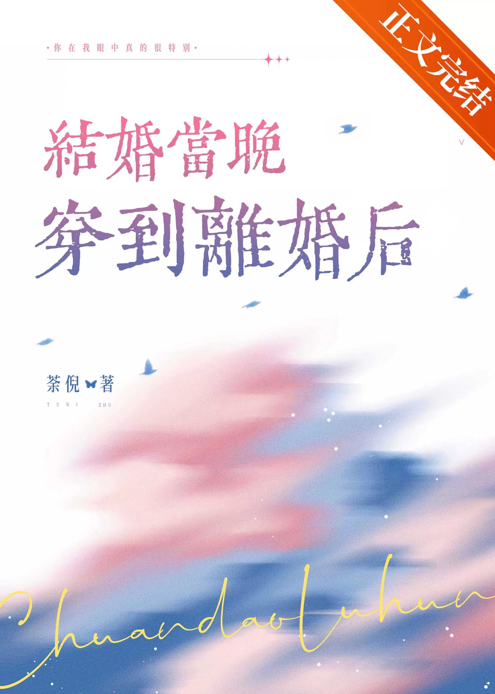 结婚当晚穿到离婚后